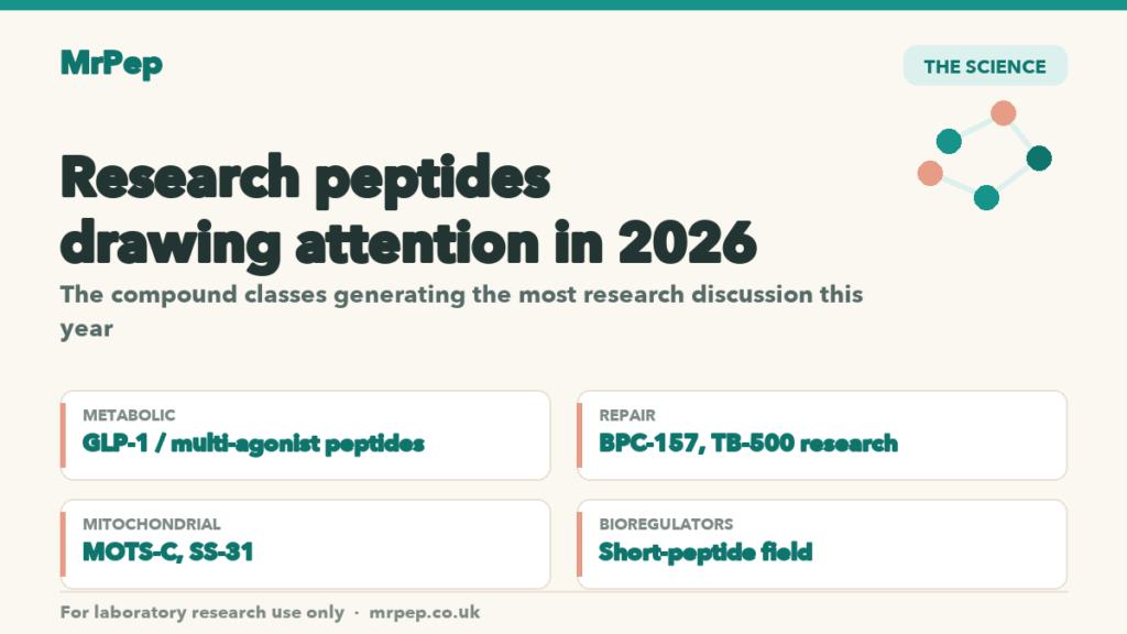 Research peptides drawing attention in 2026